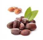 Herbs and Healing image